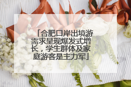合肥口岸出境游需求呈现爆发式增长，学生群体及家庭游客是主力军