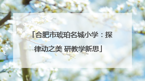 合肥市琥珀名城小学：探律动之美 研教学新思