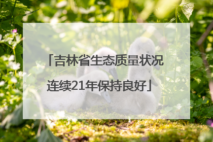吉林省生态质量状况连续21年保持良好