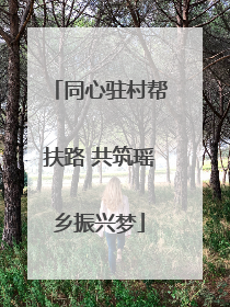 同心驻村帮扶路 共筑瑶乡振兴梦