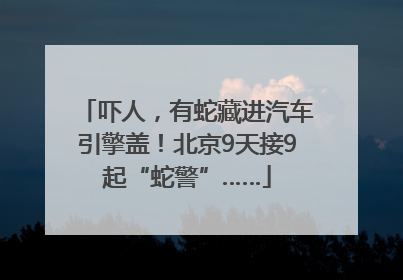 吓人，有蛇藏进汽车引擎盖！北京9天接9起“蛇警”……