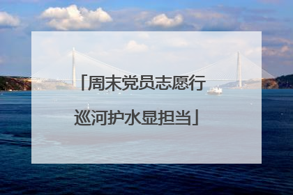 周末党员志愿行 巡河护水显担当