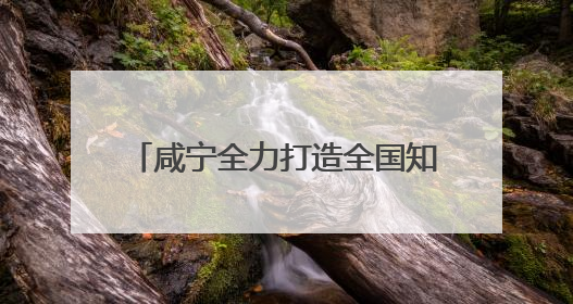 咸宁全力打造全国知名文旅康养目的地