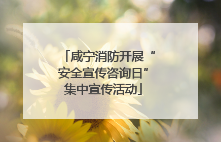 咸宁消防开展“安全宣传咨询日”集中宣传活动
