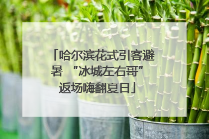 哈尔滨花式引客避暑 “冰城左右哥”返场嗨翻夏日