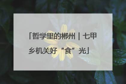 哲学里的郴州｜七甲乡机关好“食”光