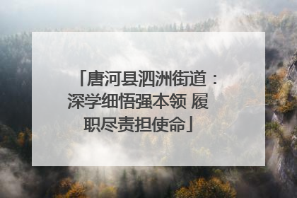 唐河县泗洲街道：深学细悟强本领 履职尽责担使命