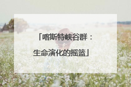 喀斯特峡谷群：生命演化的摇篮
