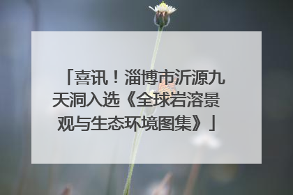 喜讯！淄博市沂源九天洞入选《全球岩溶景观与生态环境图集》