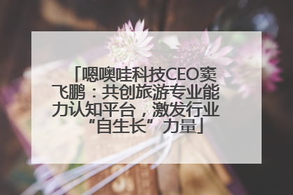 嗯噢哇科技CEO窦飞鹏：共创旅游专业能力认知平台，激发行业“自生长”力量