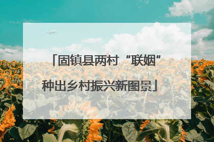 固镇县两村“联姻”种出乡村振兴新图景