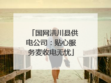 国网潢川县供电公司：贴心服务麦收电无忧