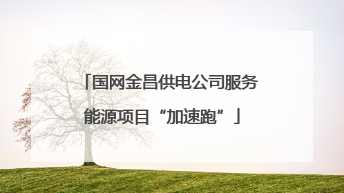 国网金昌供电公司服务能源项目“加速跑”