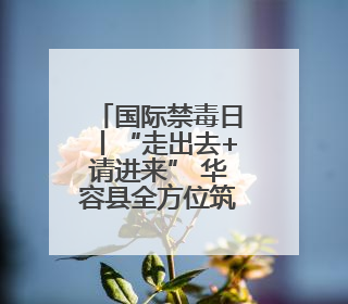 国际禁毒日丨“走出去+请进来” 华容县全方位筑牢禁毒防线