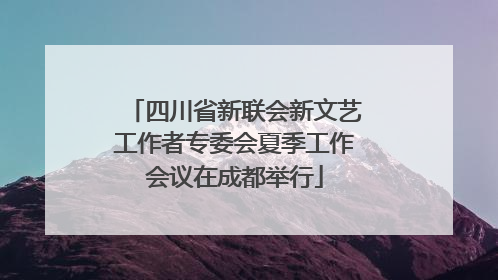 四川省新联会新文艺工作者专委会夏季工作会议在成都举行