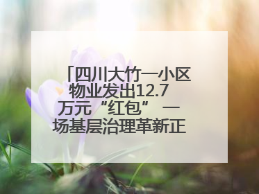 四川大竹一小区物业发出12.7万元“红包” 一场基层治理革新正在达州展开