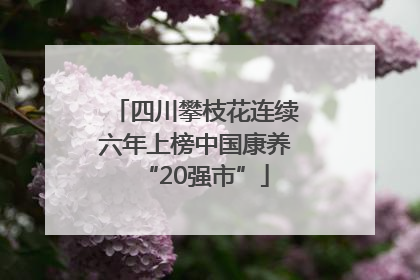 四川攀枝花连续六年上榜中国康养“20强市”