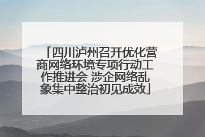 四川泸州召开优化营商网络环境专项行动工作推进会 涉企网络乱象集中整治初见成效