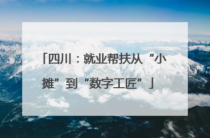 四川：就业帮扶从“小摊”到“数字工匠”