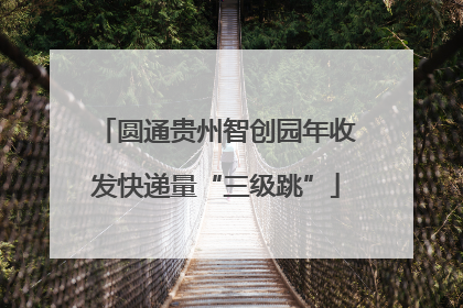 圆通贵州智创园年收发快递量“三级跳”