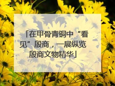 在甲骨青铜中“看见”殷商，一展纵览殷商文物精华
