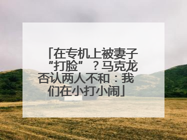 在专机上被妻子“打脸”？马克龙否认两人不和：我们在小打小闹