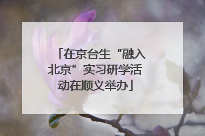 在京台生“融入北京”实习研学活动在顺义举办