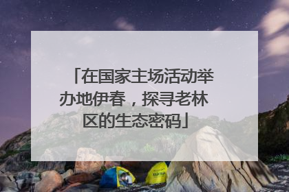 在国家主场活动举办地伊春，探寻老林区的生态密码