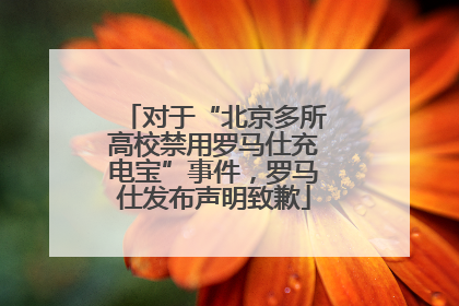 对于“北京多所高校禁用罗马仕充电宝”事件，罗马仕发布声明致歉