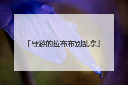导游的拉布布别乱拿