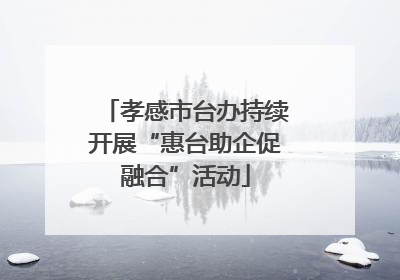 孝感市台办持续开展“惠台助企促融合”活动