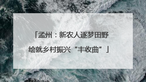 孟州：新农人逐梦田野 绘就乡村振兴“丰收曲”