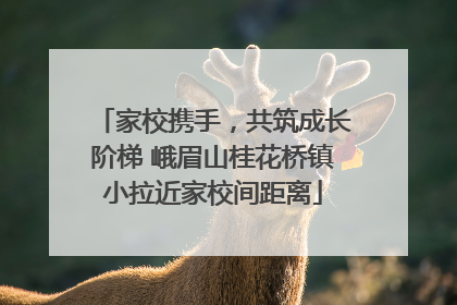 家校携手，共筑成长阶梯 峨眉山桂花桥镇小拉近家校间距离
