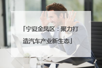 宁夏金凤区：聚力打造汽车产业新生态