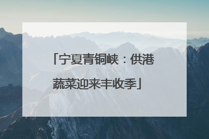 宁夏青铜峡：供港蔬菜迎来丰收季