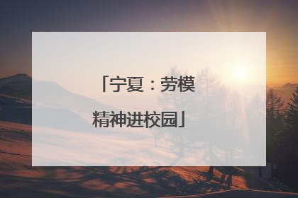 宁夏：劳模精神进校园