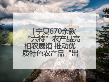 宁夏670余款“六特”农产品亮相农展馆 推动优质特色农产品“出宁进京”