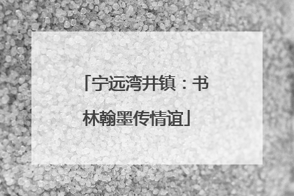 宁远湾井镇：书林翰墨传情谊