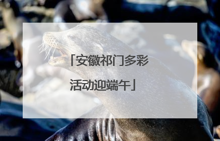 安徽祁门多彩活动迎端午