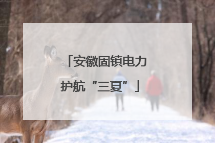 安徽固镇电力护航“三夏”