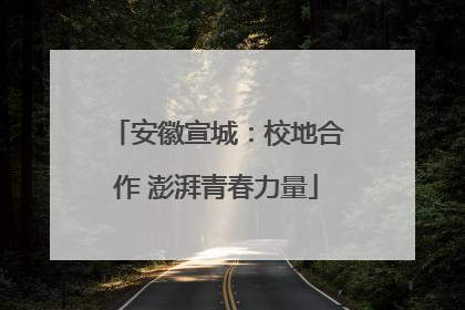 安徽宣城：校地合作 澎湃青春力量
