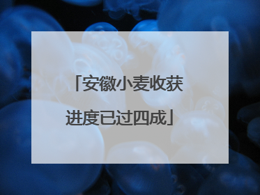 安徽小麦收获进度已过四成