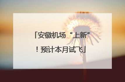 安徽机场“上新”！预计本月试飞