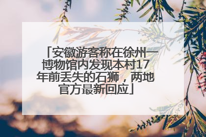 安徽游客称在徐州一博物馆内发现本村17年前丢失的石狮，两地官方最新回应