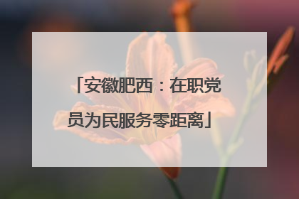 安徽肥西：在职党员为民服务零距离