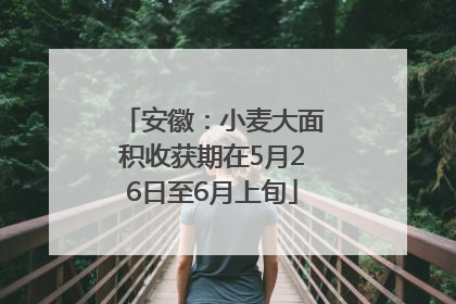 安徽：小麦大面积收获期在5月26日至6月上旬