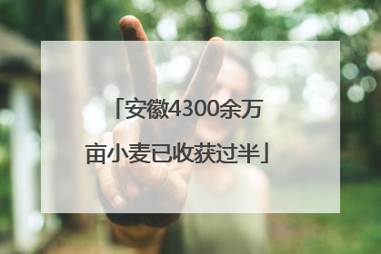 安徽4300余万亩小麦已收获过半