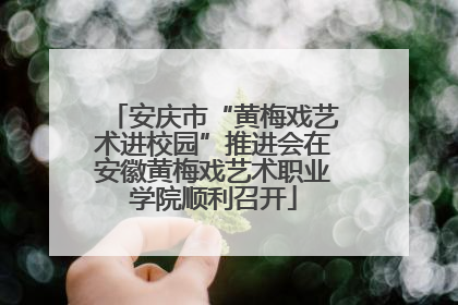 安庆市“黄梅戏艺术进校园”推进会在安徽黄梅戏艺术职业学院顺利召开