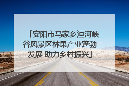安阳市马家乡洹河峡谷风景区林果产业蓬勃发展 助力乡村振兴