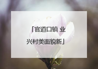 官道口镇 业兴村美面貌新